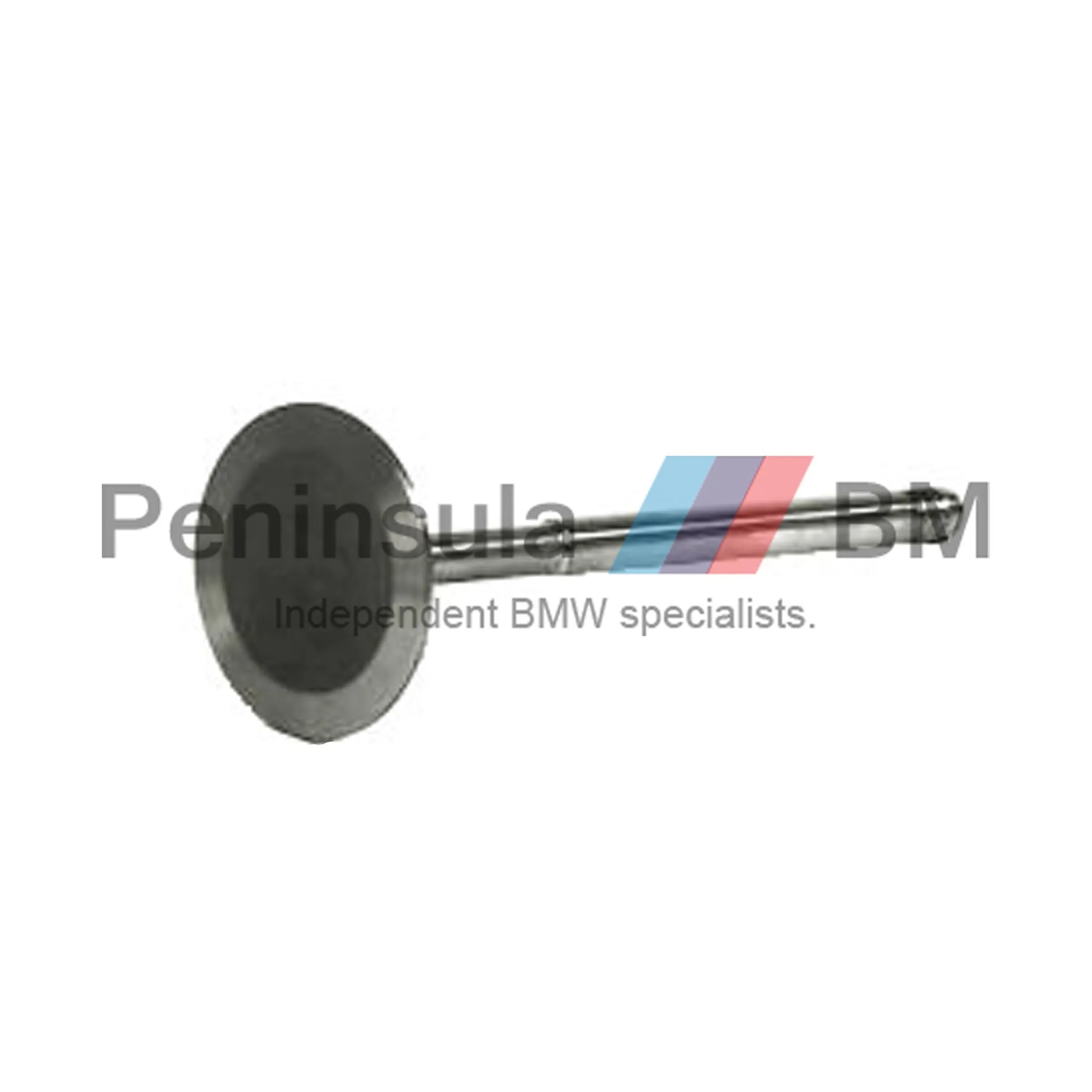 BMW Intake Valve E87 E88 E46 E90 E91 X1 X3 Z4 N42 N46 N46N 11341440304