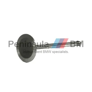 BMW Intake Valve E87 E88 E46 E90 E91 X1 X3 Z4 N42 N46 N46N 11341440304