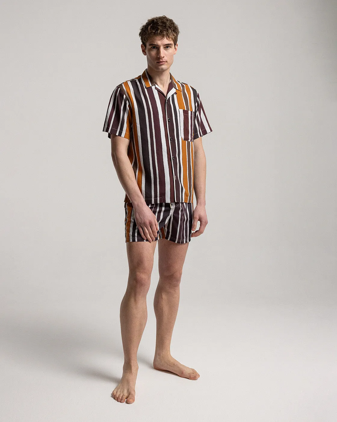 Brown Baiadera Short Sleeve Shirt