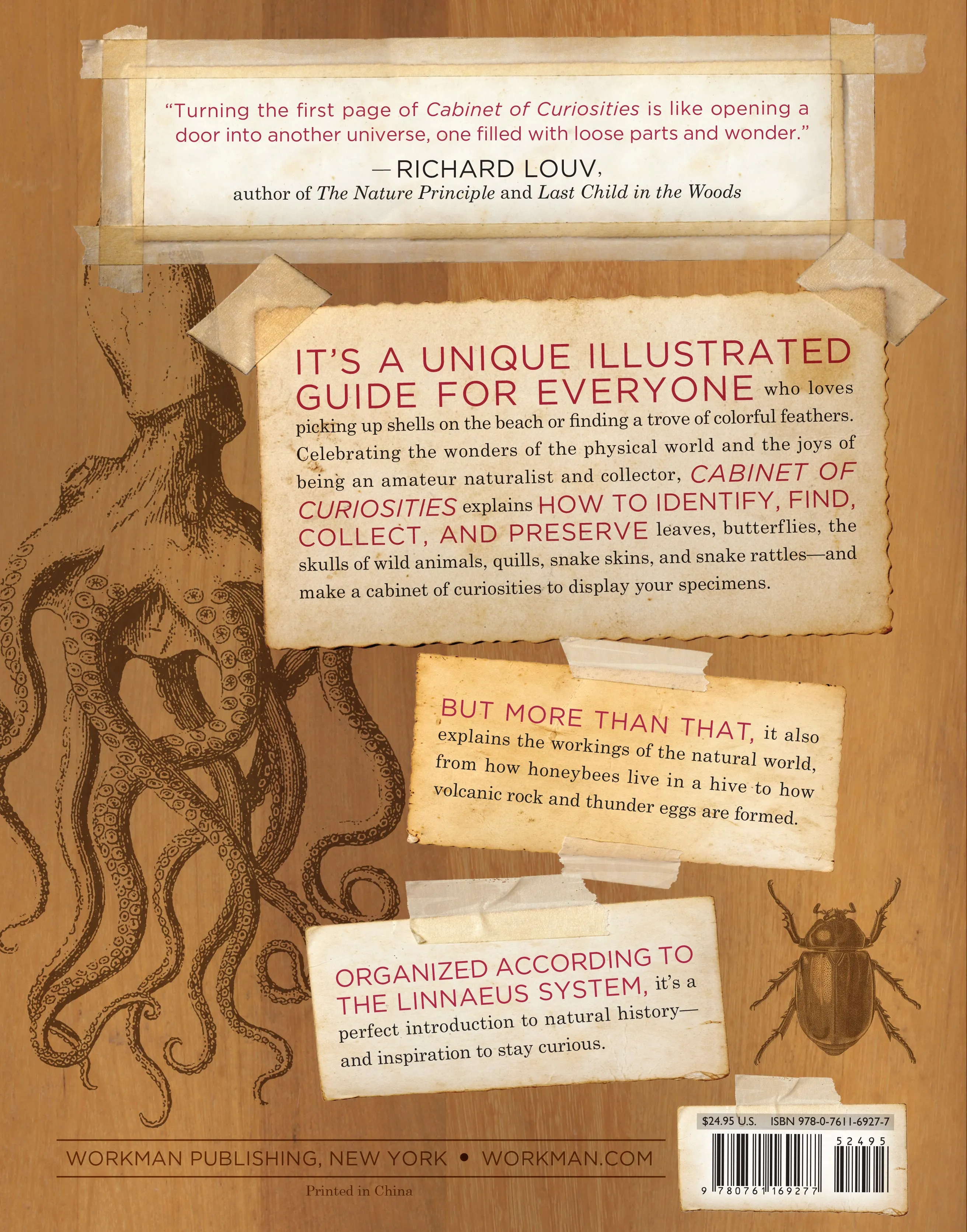 Cabinet of Curiosities