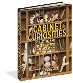 Cabinet of Curiosities