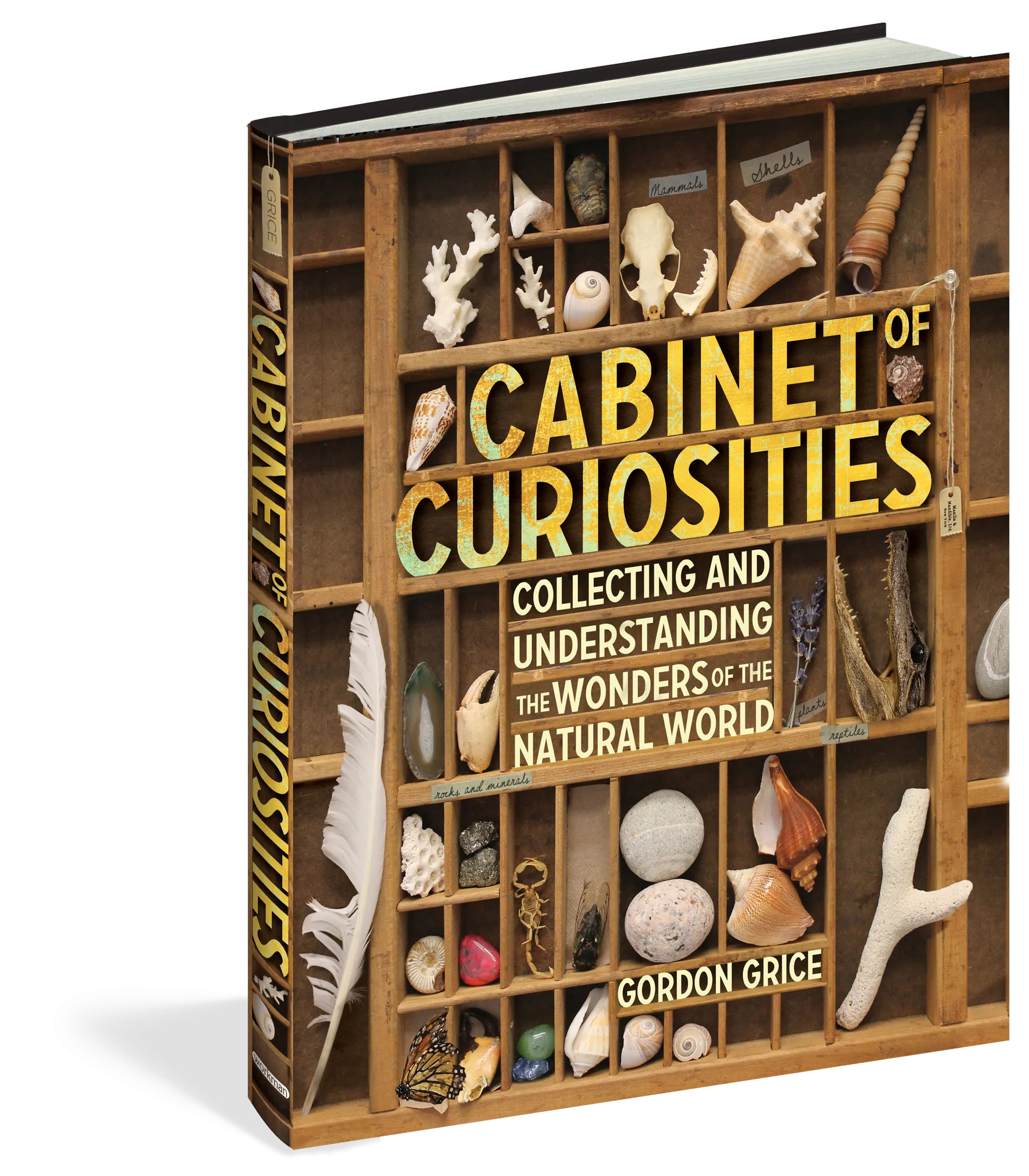 Cabinet of Curiosities