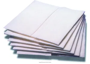 Cliniguard Washcloths (Dry Wipes) [TENA DRY WIPES 10X13.25 IN]