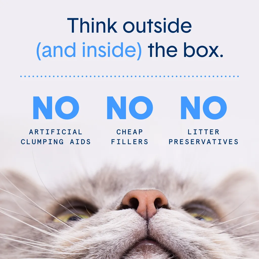 Extra Strength Multi-Cat Lightweight Plant-Based Litter