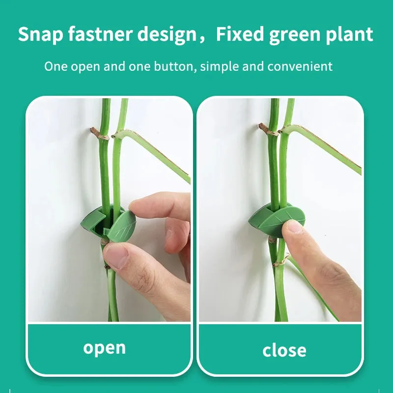 Invisible Wall Climbing Plant Fixture Rattan Vine Bracket Fixed Buckle Leaf Clips Traction Holder Garden