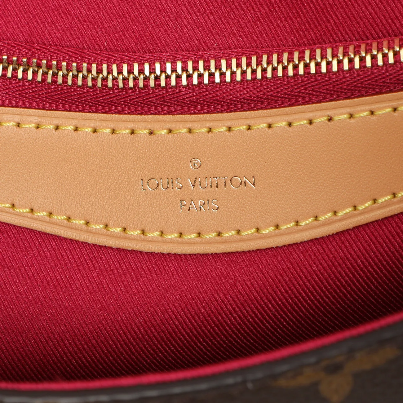 Louis Vuitton Fuchsia Monogram Diane