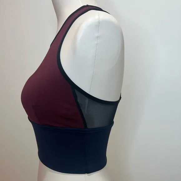 Michi Ignite Crop Top/Sports Bra in Deep Sea/Wine/Black