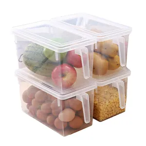 MineDecor Plastic Storage Containers Square Handle Food Storage Organizer Boxes with Lids for Refrigerator Fridge Cabinet Desk (Set of 4 Pack, Large Organizer Bins)