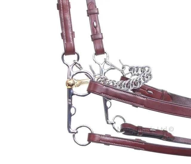 Neue Schule Turtle Tactio Pelham
