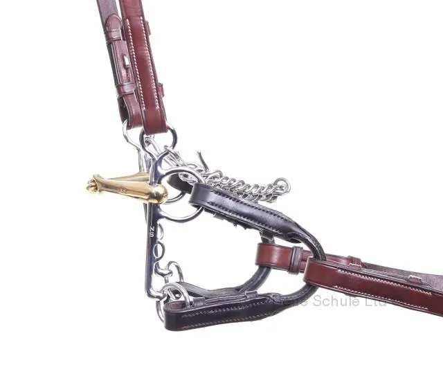 Neue Schule Turtle Tactio Pelham